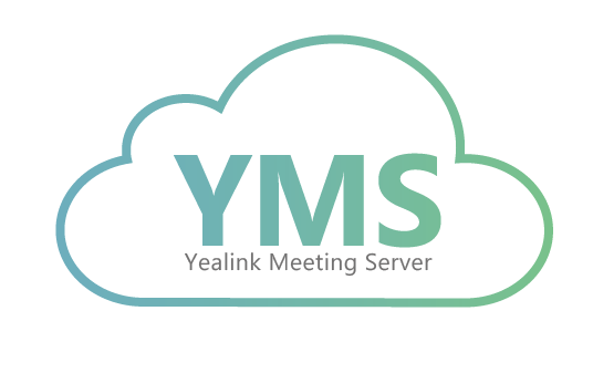 Ключ активации, YMS Monitoring license 1 monitoring license (1-year AMS)