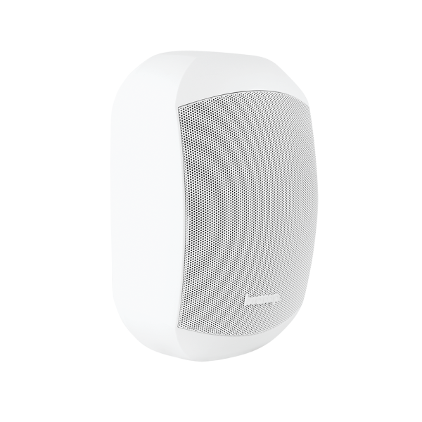 MASK4CT-W Двухполосный корпусный громкоговоритель Biamp
